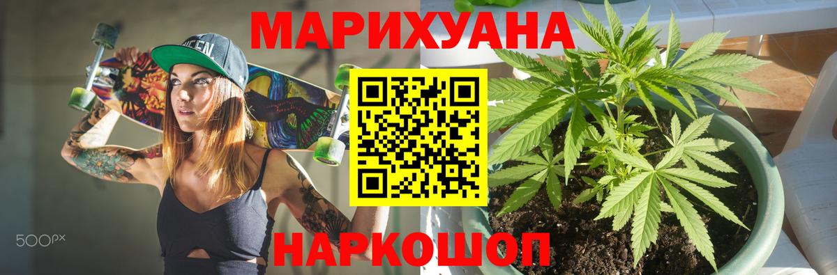 Курчатов  Каннабис планчик  Шишки марихуана Amnesia  Вход с VPN  Бошки Шишки сатива 